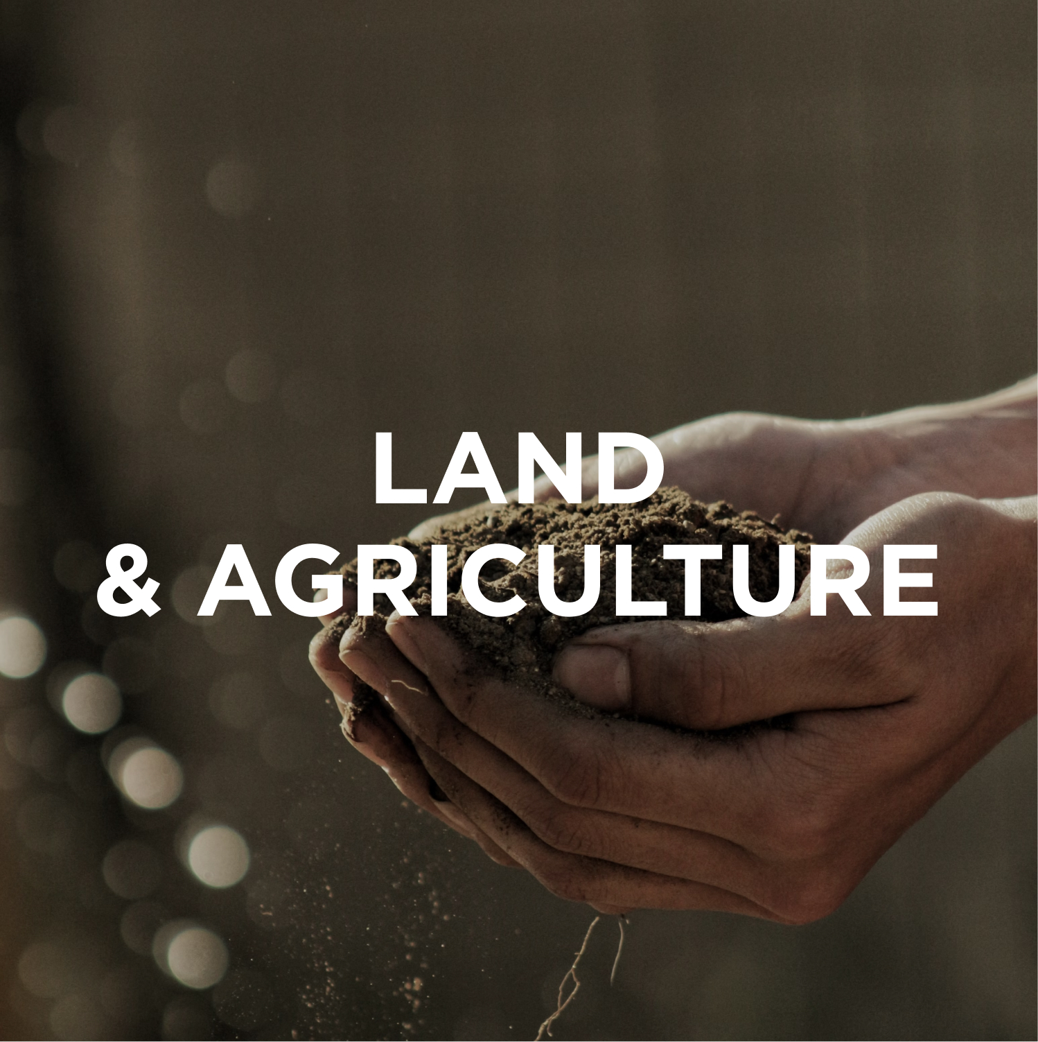 land and agriculture