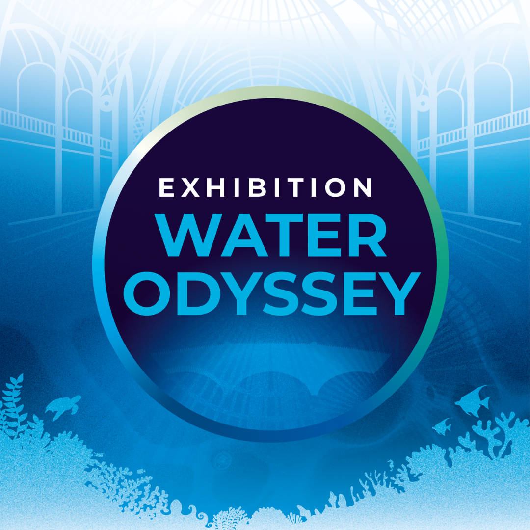 Exhibition water odyssey